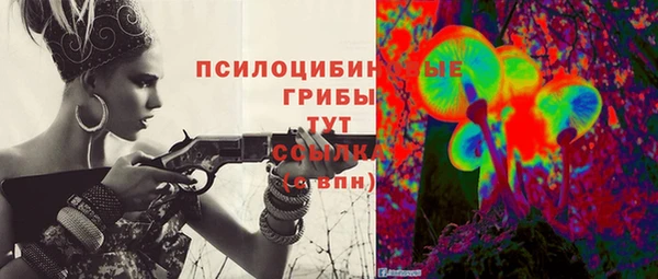 гашик Бронницы