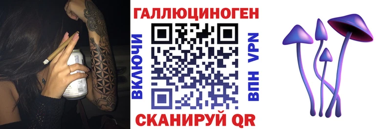 kraken вход  Кизляр  Галлюциногенные грибы Psilocybe 